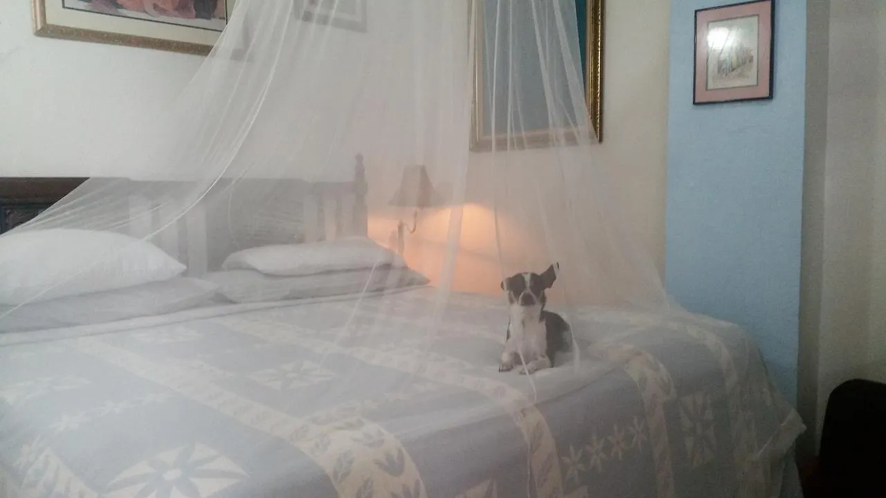 Casa Tripgogo Bed and Breakfast San Juan 2*,  Puerto Rico